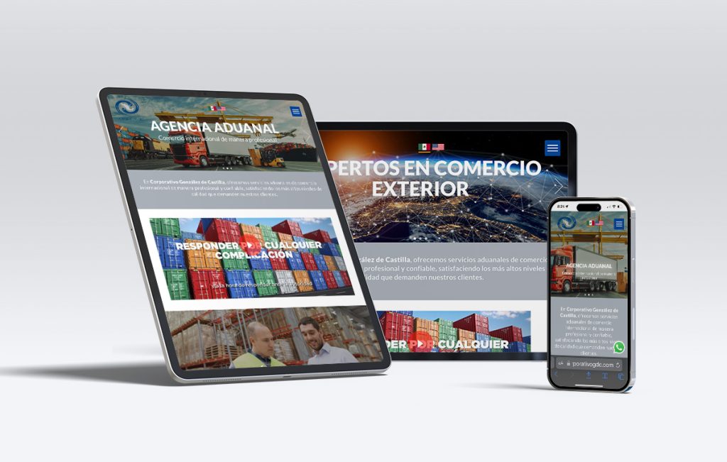 disenoweb profesional 9