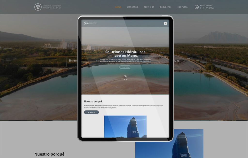 agencia de paginasweb monterrey 7
