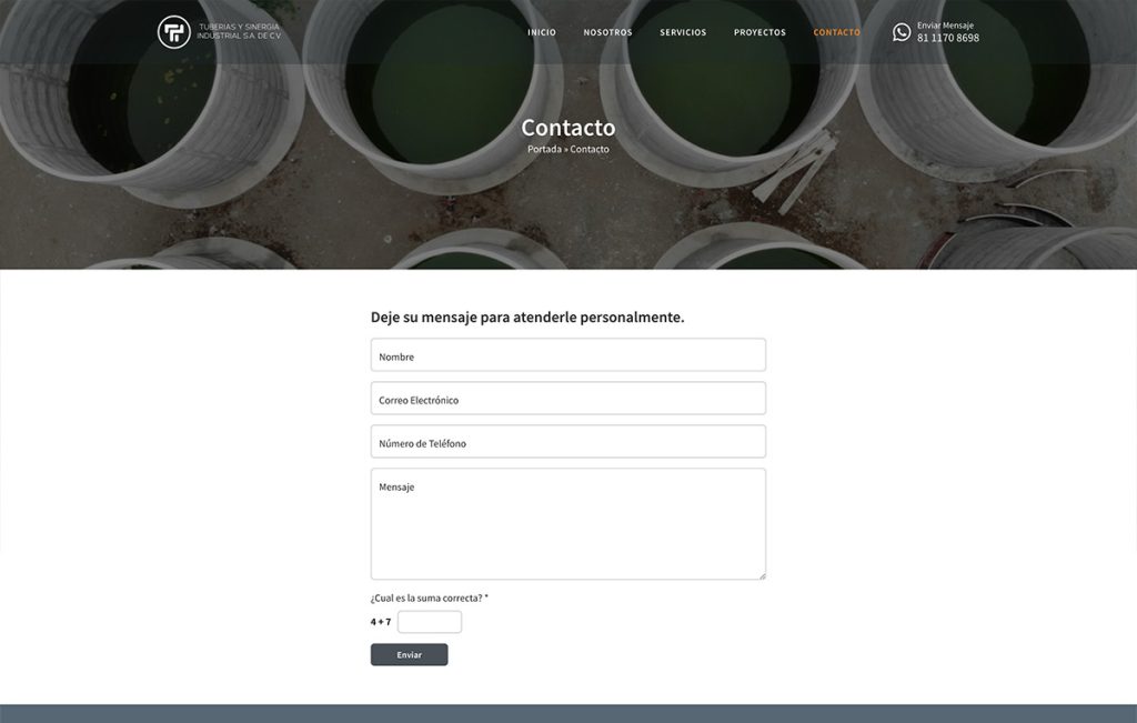 diseno De paginasweb monterrey 3