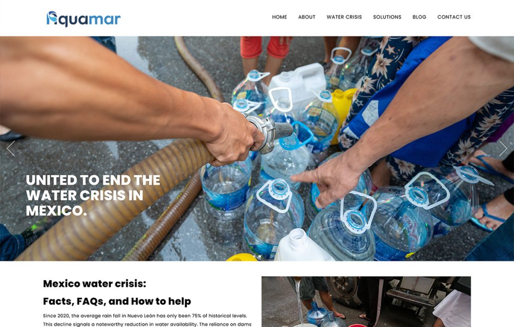 disenador depaginas web 4