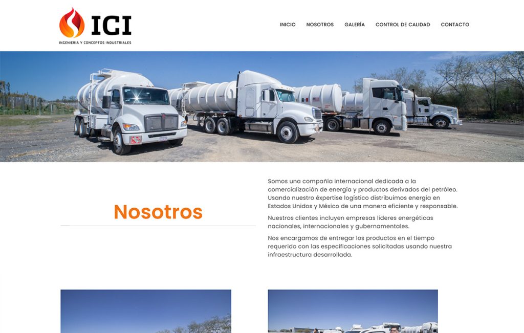 ICIMEX 6 diseno de paginas 03