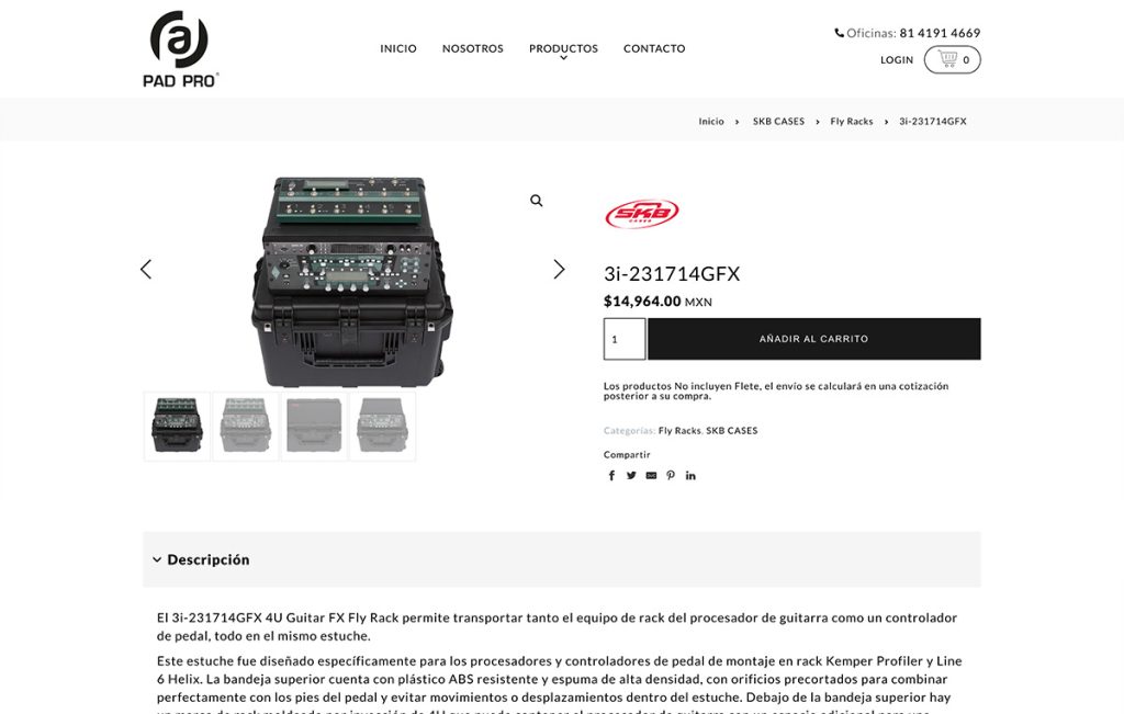 paginas web en monterrey 02
