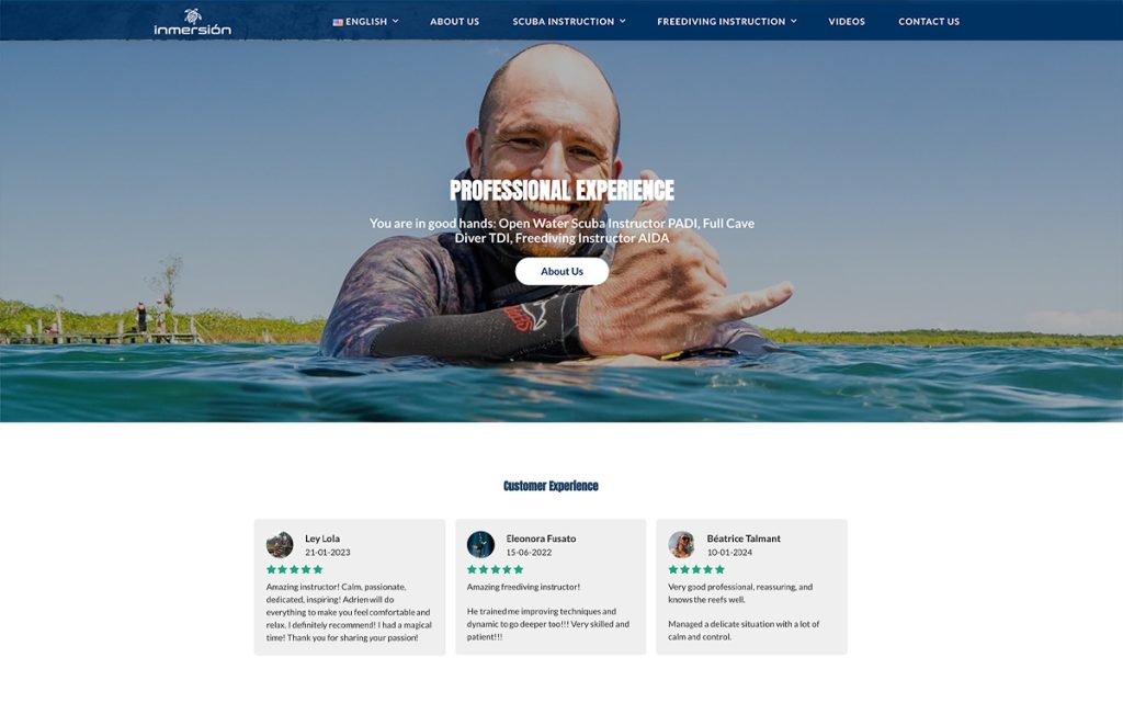 pagina Web profesional 2