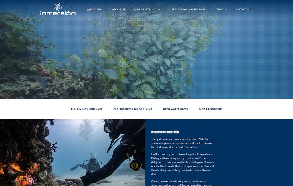 paginas web monterrey 01