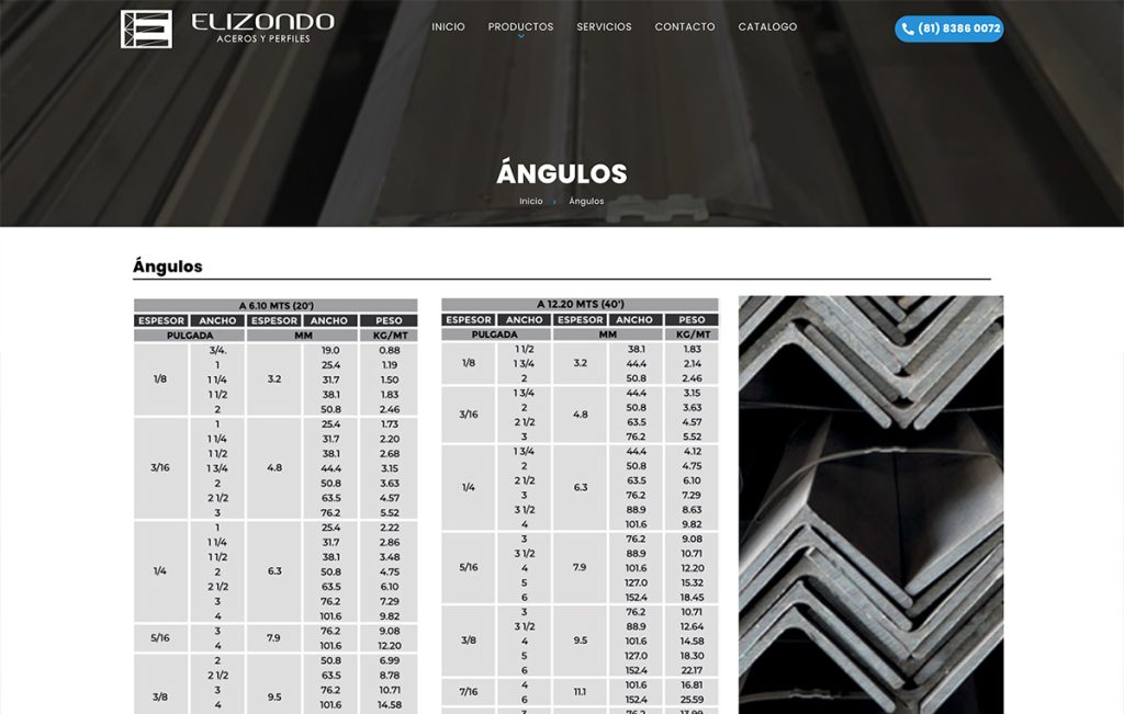paginas webmonterrey 04