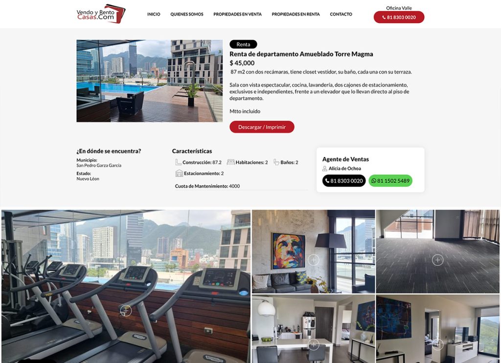 agencia Web monterrey 03 1