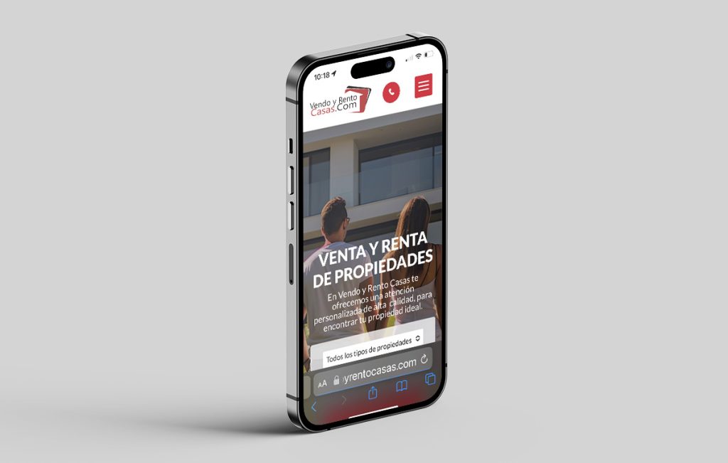 agencia de diseno web monterrey 7 1