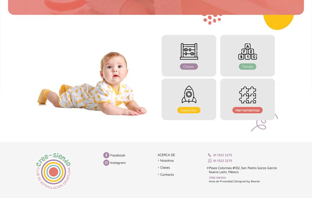 disenador Web monterrey_