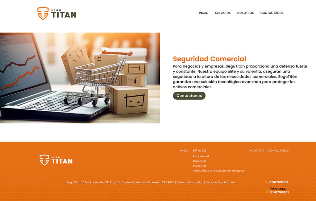 agencia de web design monterrey