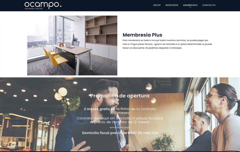 disenador Web monterrey
