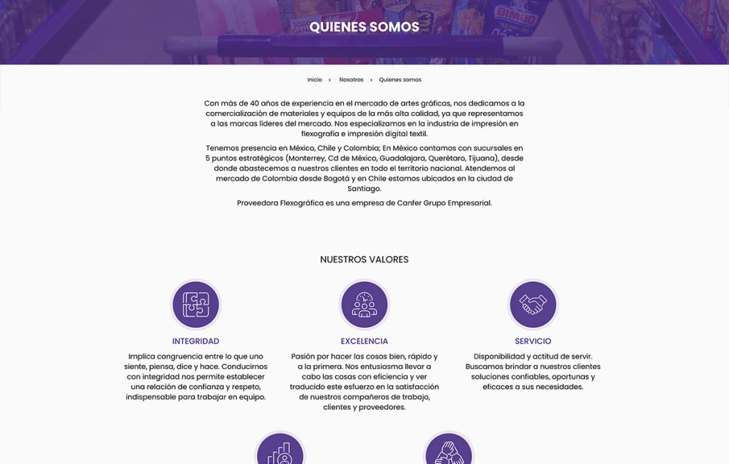 web design monterrey