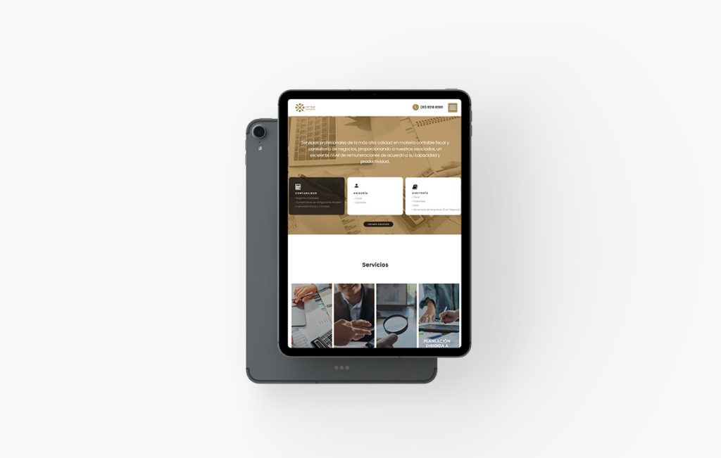 paginas web profesionales