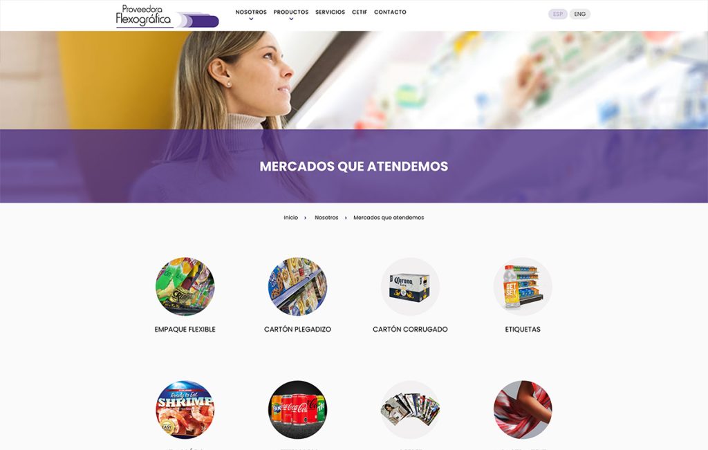 sitios web monterrey