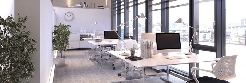 Bioxnet Branding and Web Design Studio | ¿Cuál es el activo mas importante de tu empresa?