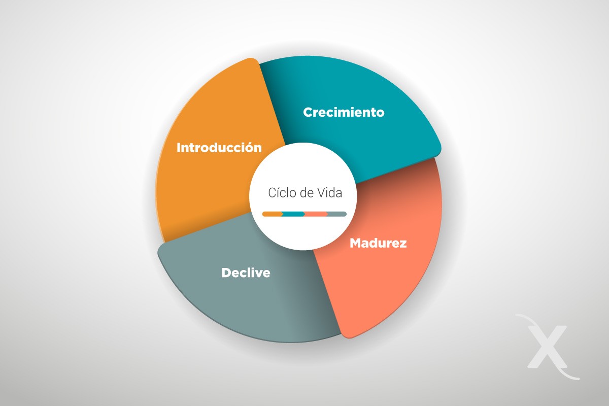 Bioxnet Branding and Web Design Studio | Donde está tu producto en su ciclo de vida