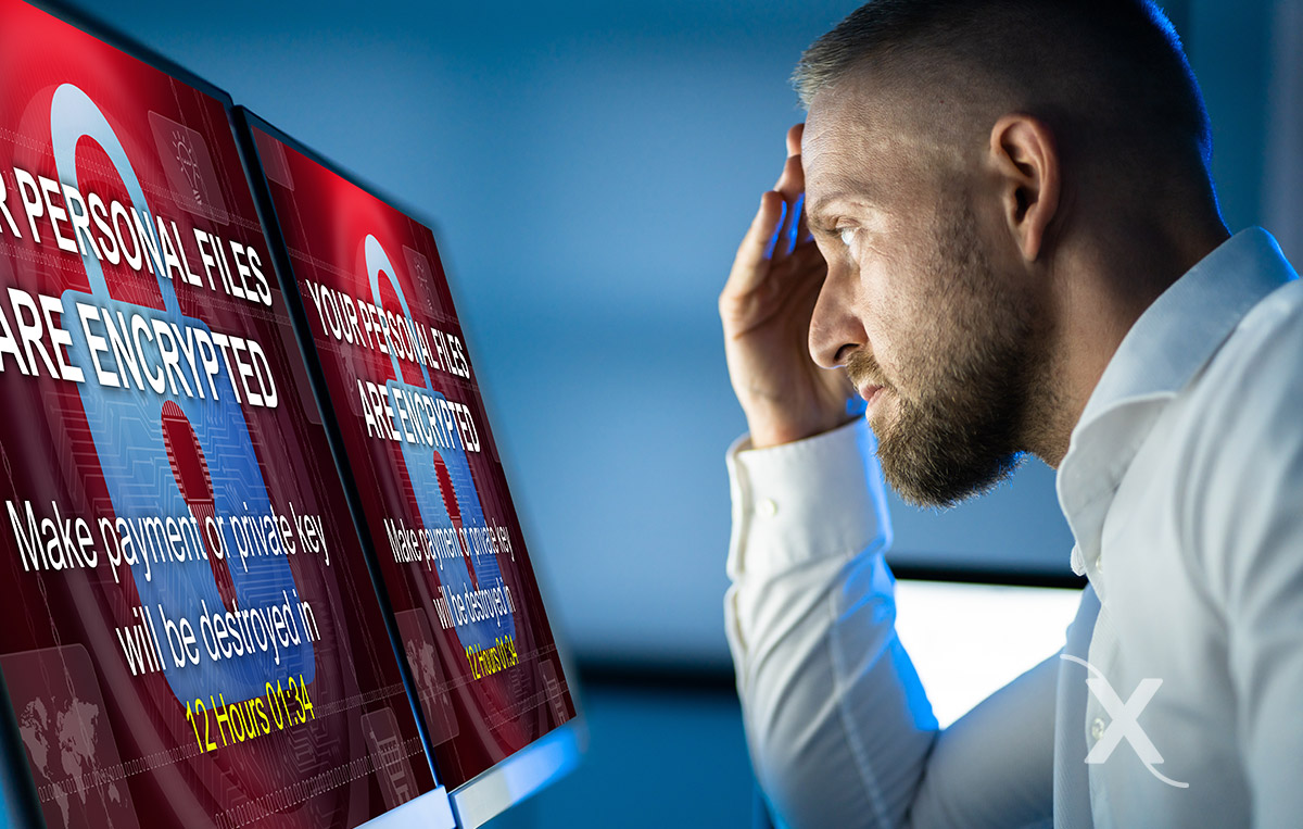 Bioxnet Branding and Web Design Studio | ¿Cómo combatir el Malware?