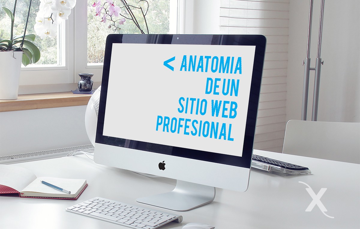 Bioxnet Branding and Web Design Studio | Anatomía de un sitio web profesional
