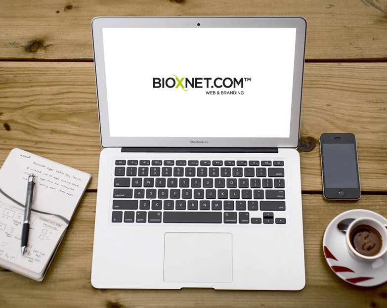 Bioxnet Branding and Web Design Studio | 200 Factores para aparecer en GOOGLE
