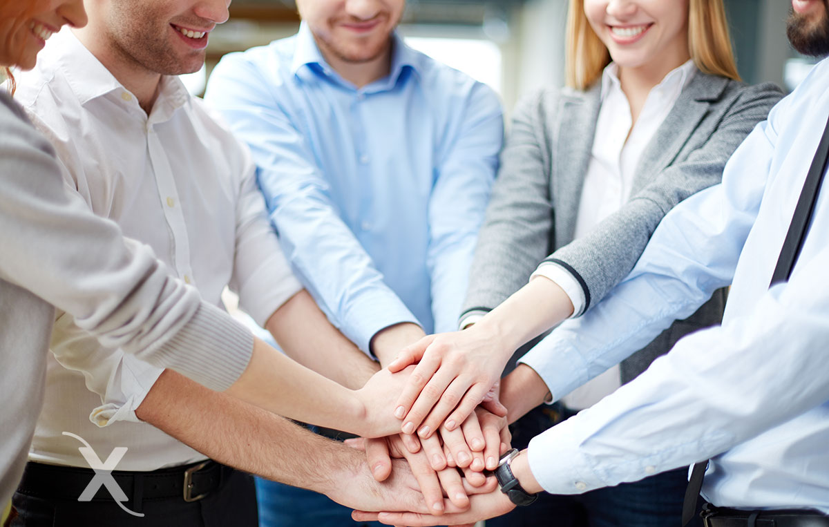 Bioxnet Branding and Web Design Studio | 12 consejos para mejorar el trabajo en equipo en tu negocio