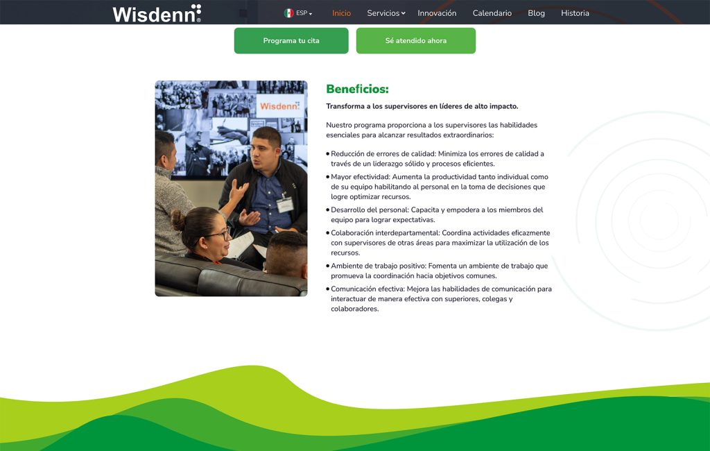 pagina web profesional en monterrey