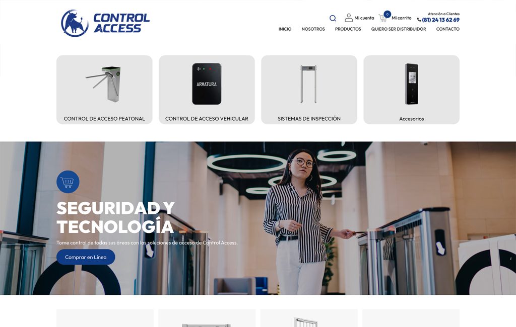 diseno de sitio web monterrey