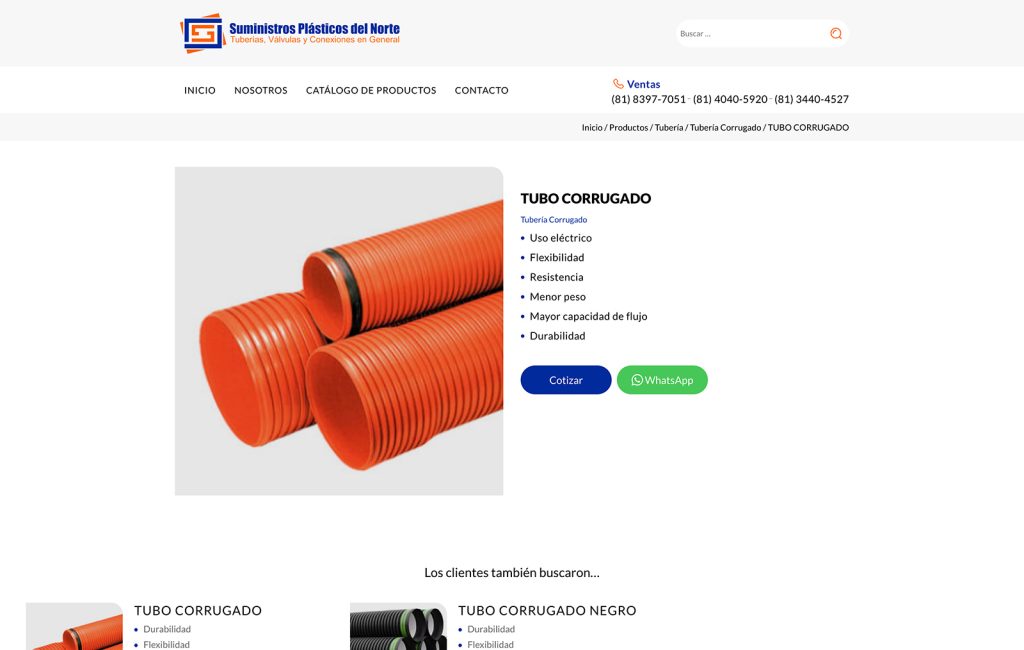 diseno web profesional