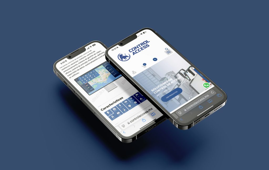 paginas web en monterrey