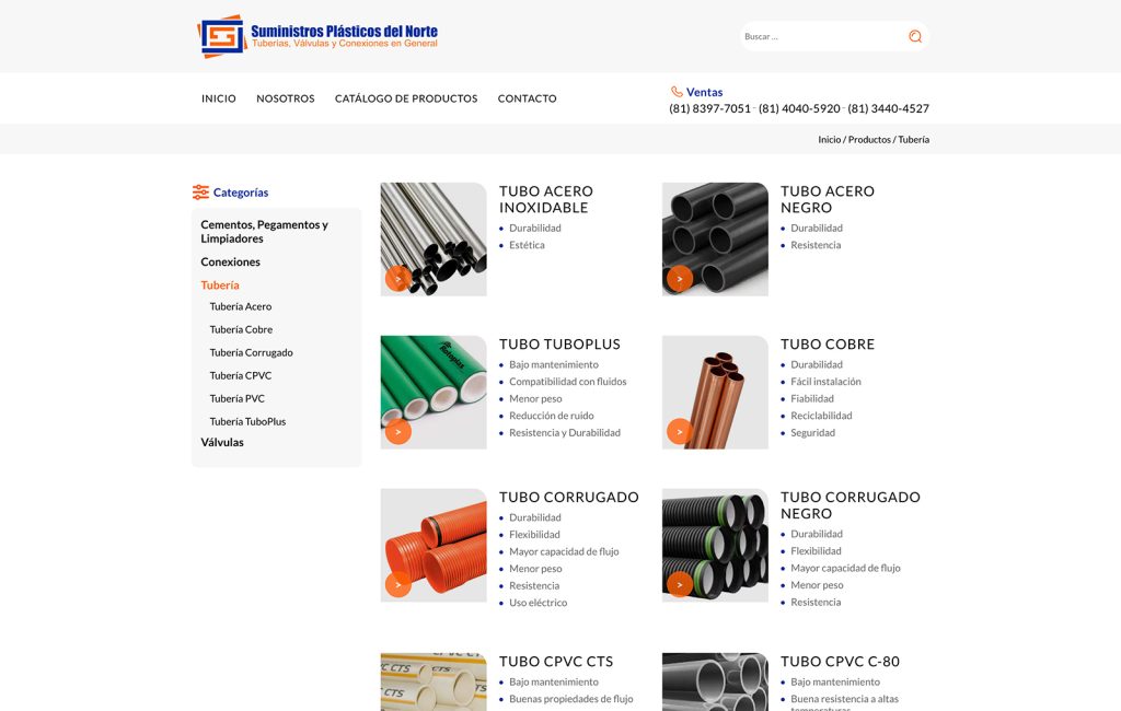 proveedor de pagina web en monterrey