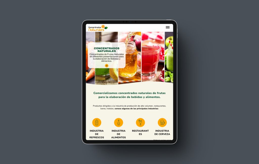 paginas web profesionales monterrey
