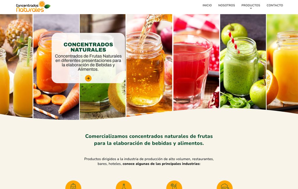 paginas web profesionales monterrey