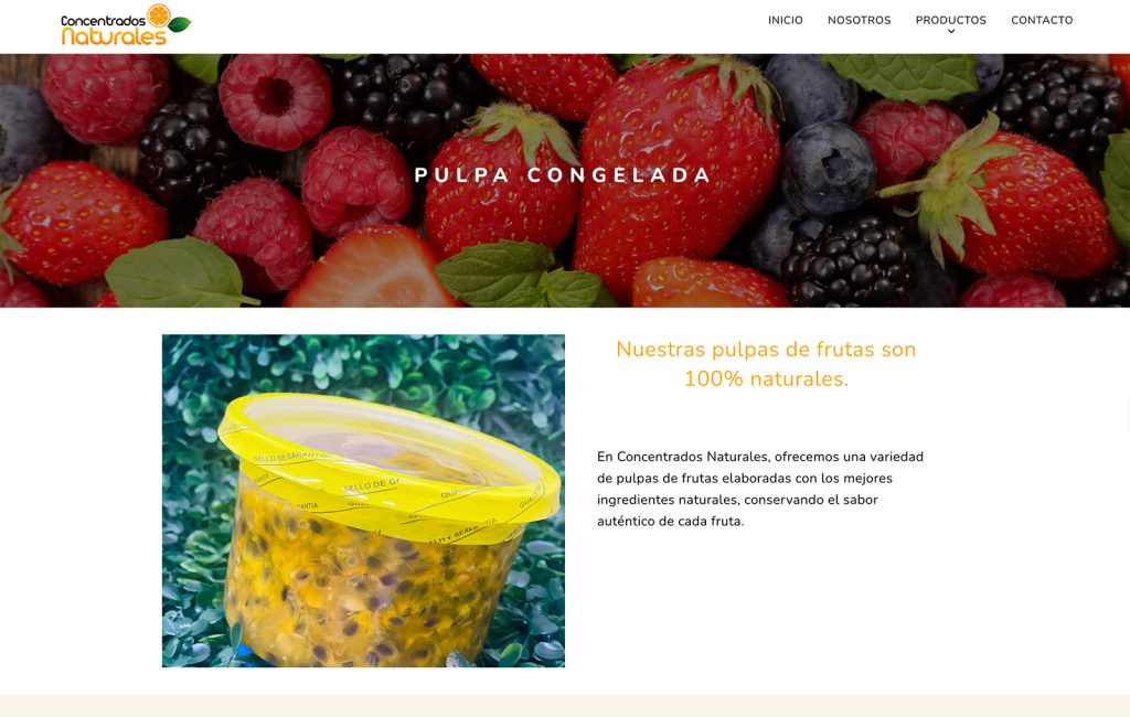 paginas web profesionales en monterrey