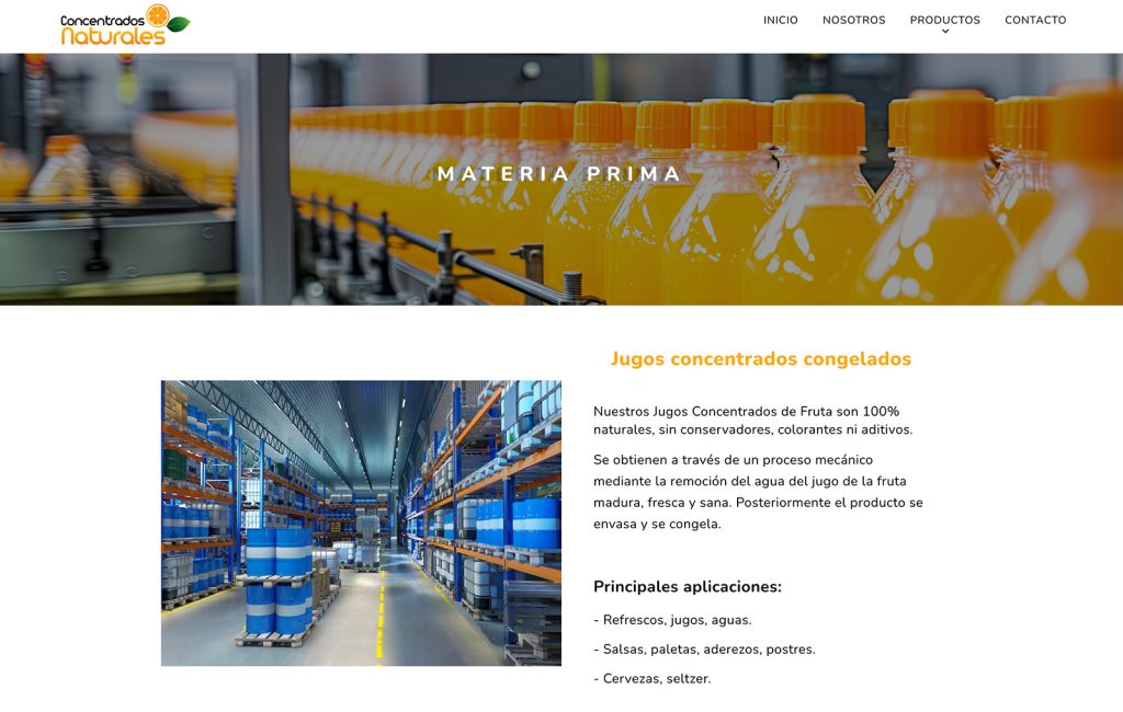 diseño de paginas web profesionales en monterrey