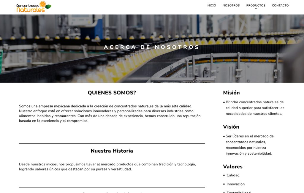 diseño de paginas web en monterrey