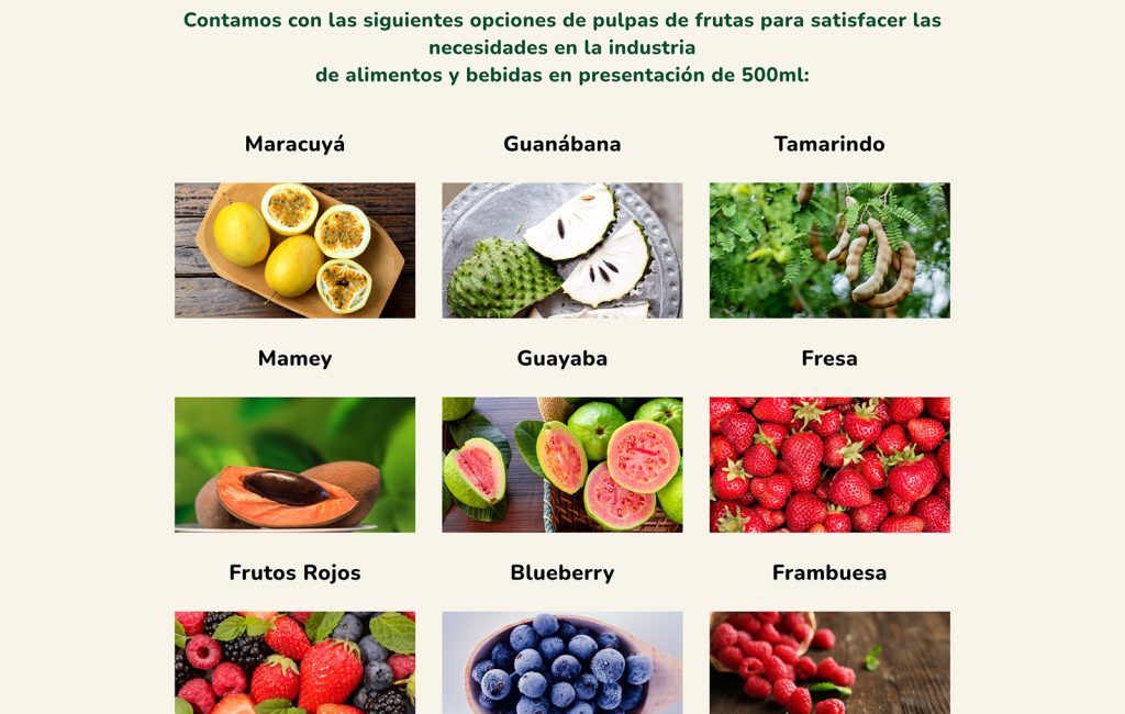 diseño de paginas web monterrey