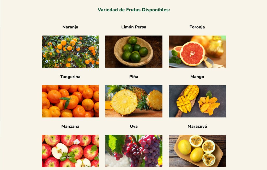 diseño de paginas web monterrey nl