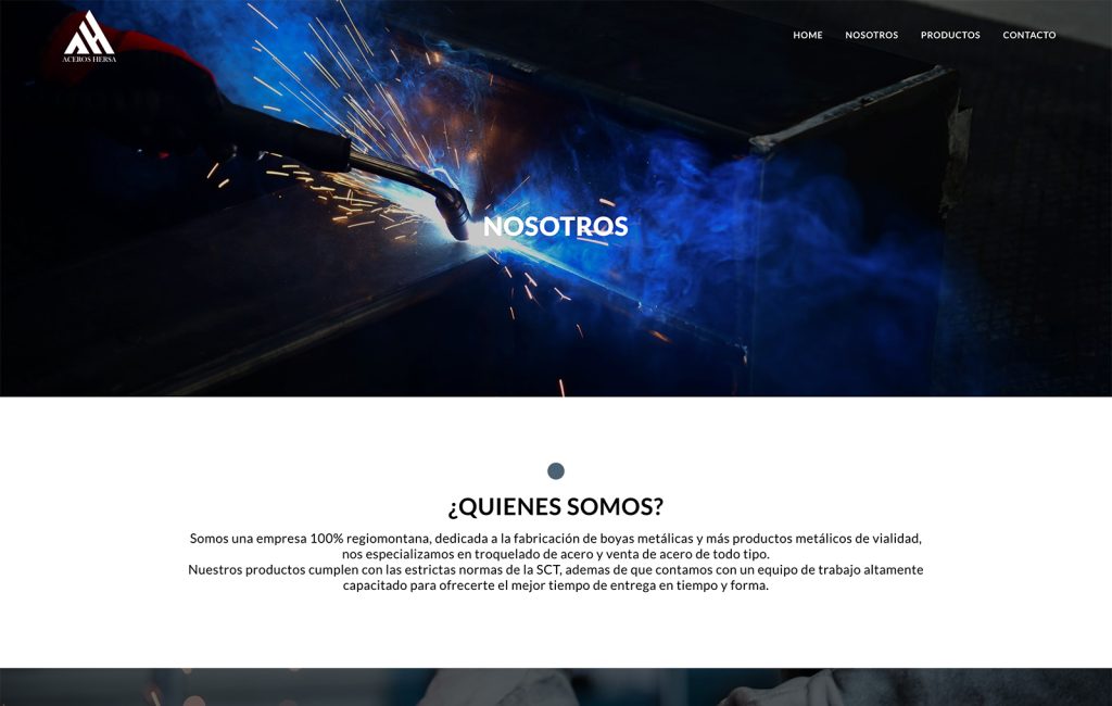 creación de sitios web en monterrey