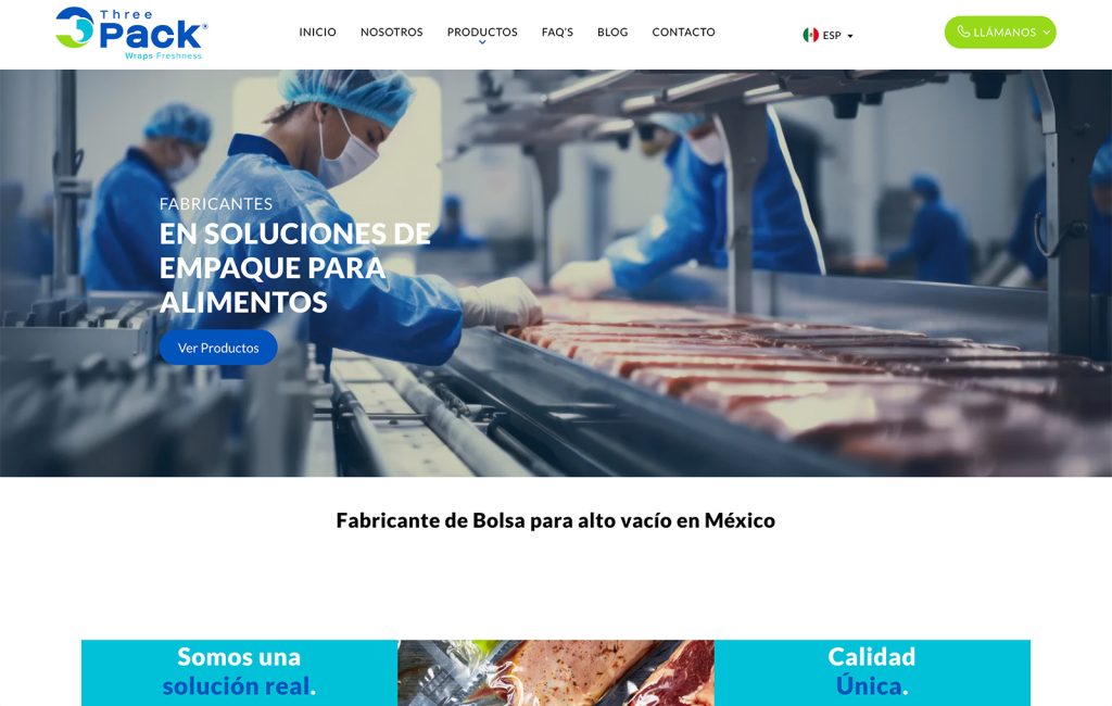 creador DE sitios web monterrey