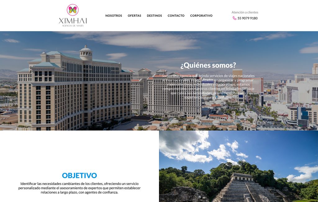 diseno web profesional monterrey