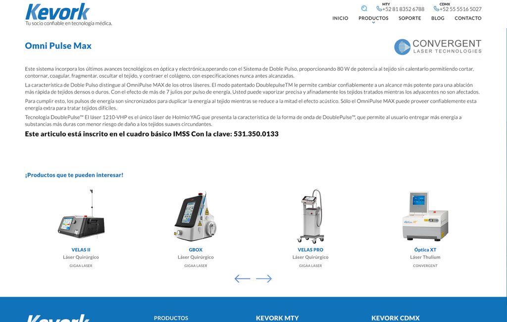 paginas de internet en monterrey