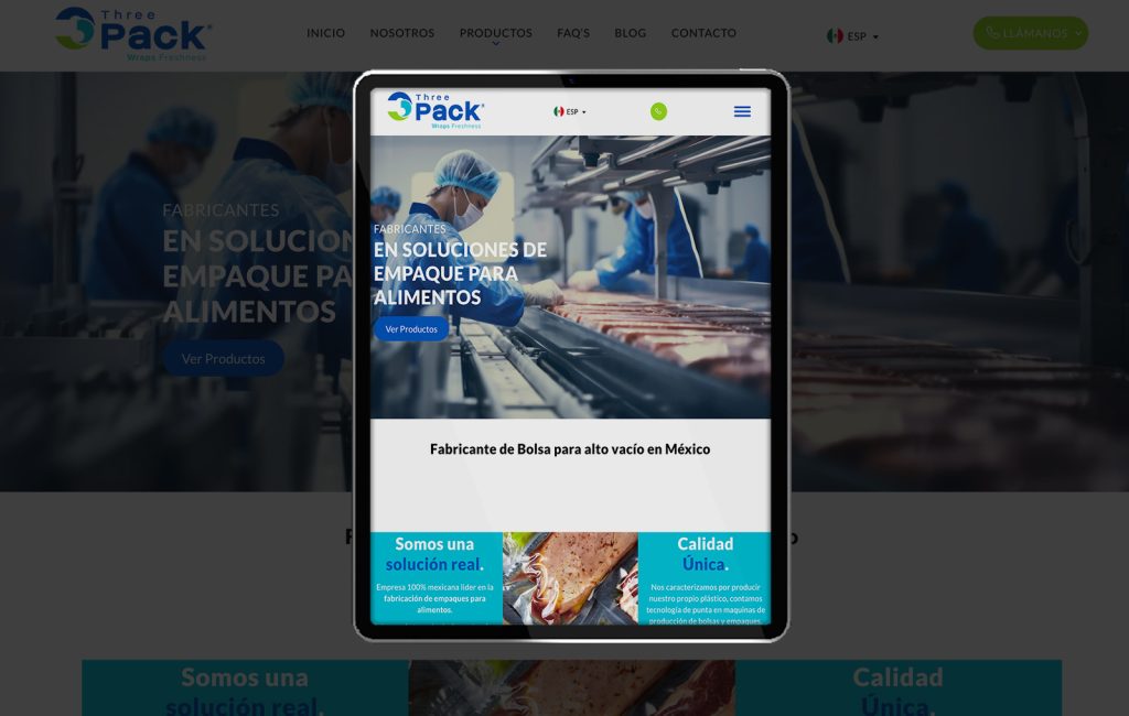 paginas web cerca de mi monterrey
