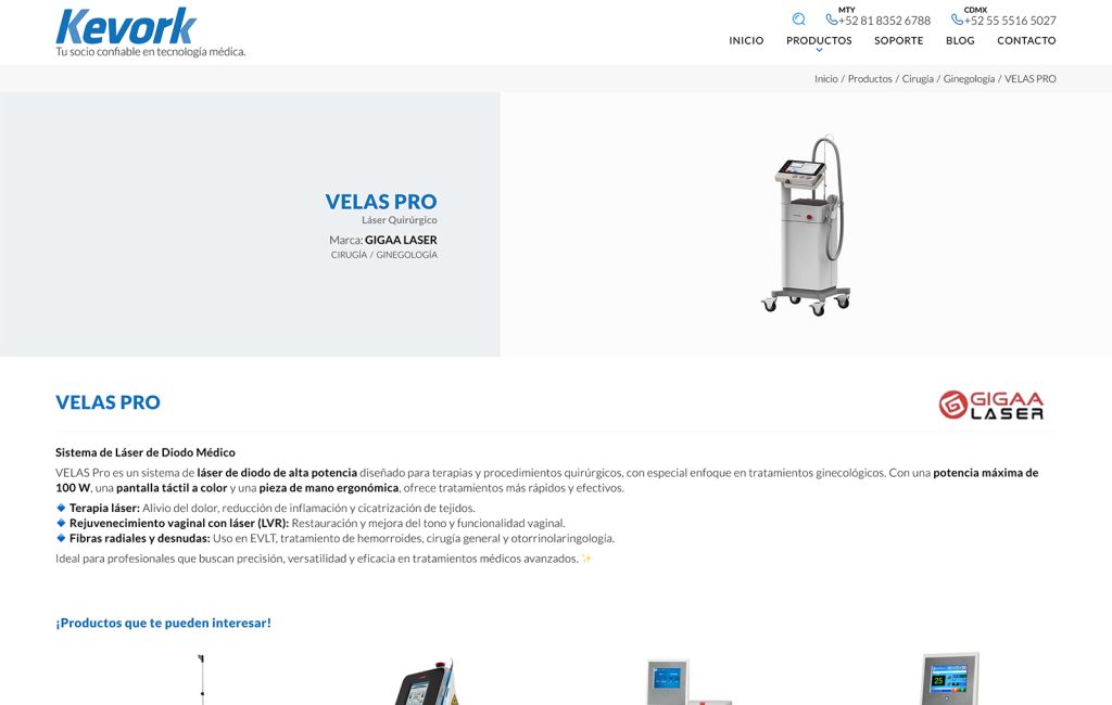 paginas web en monterrey