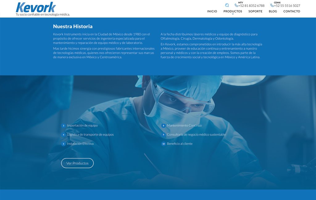 paginas web en monterrey