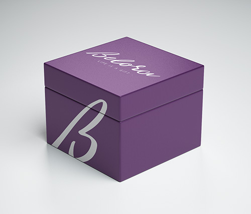 Bioxnet Branding and Web Design Studio | Branding para marcas de lujo