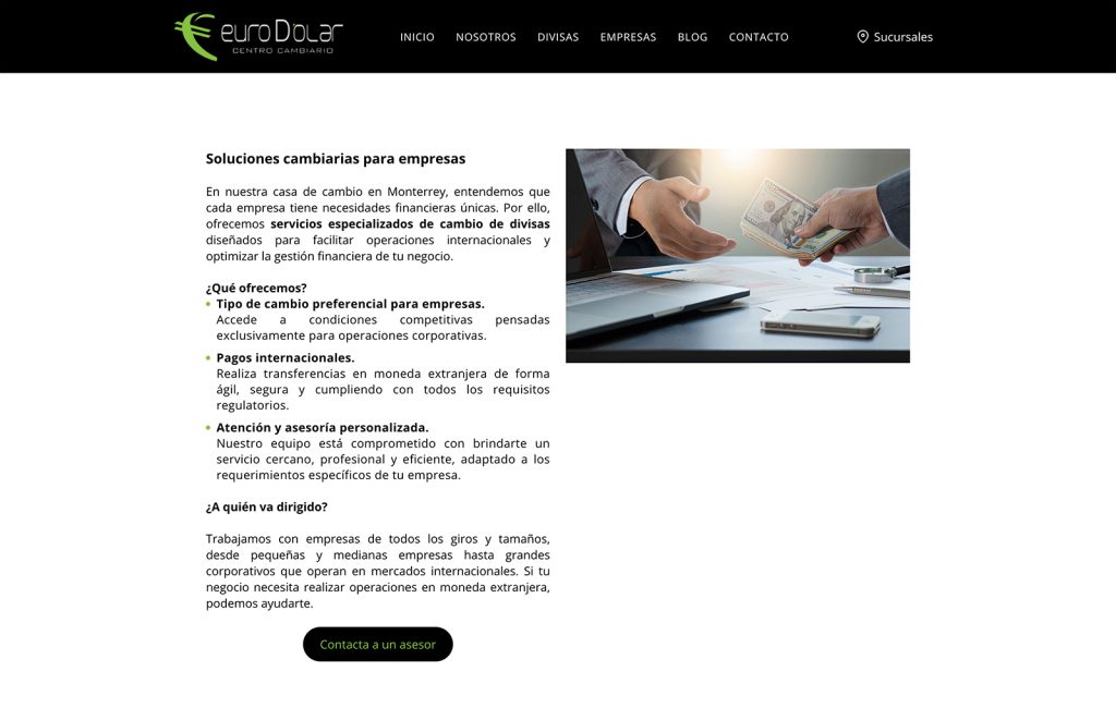estudio de diseno web en monterrey