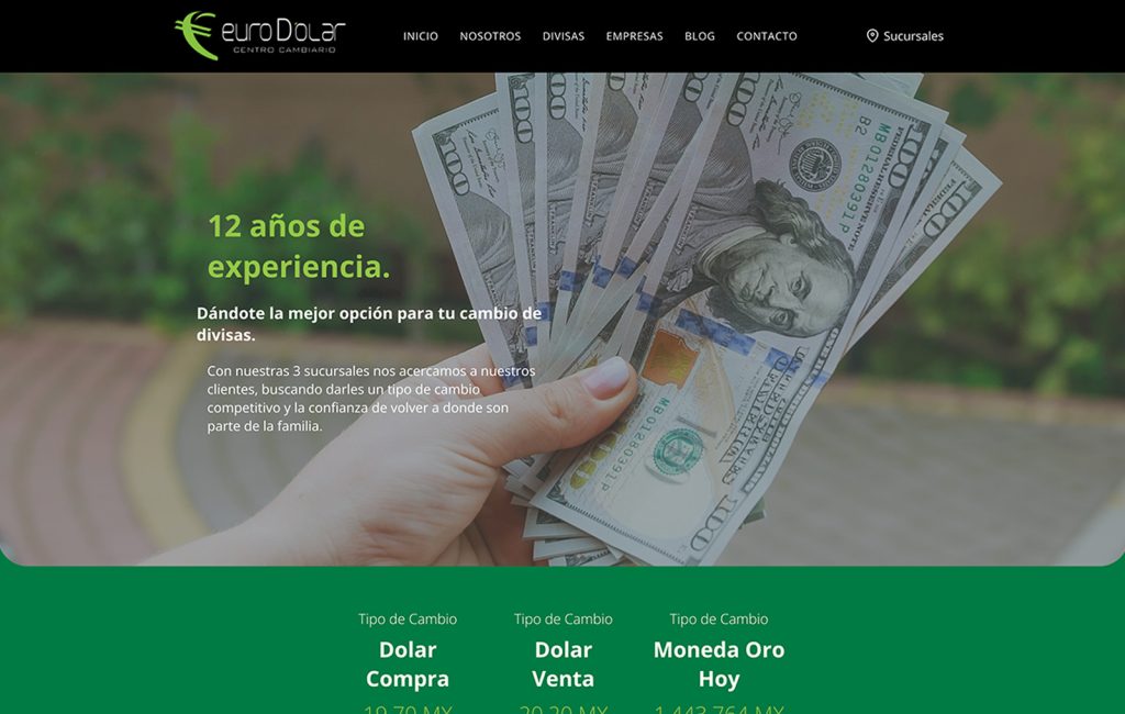 estudio de web design monterrey