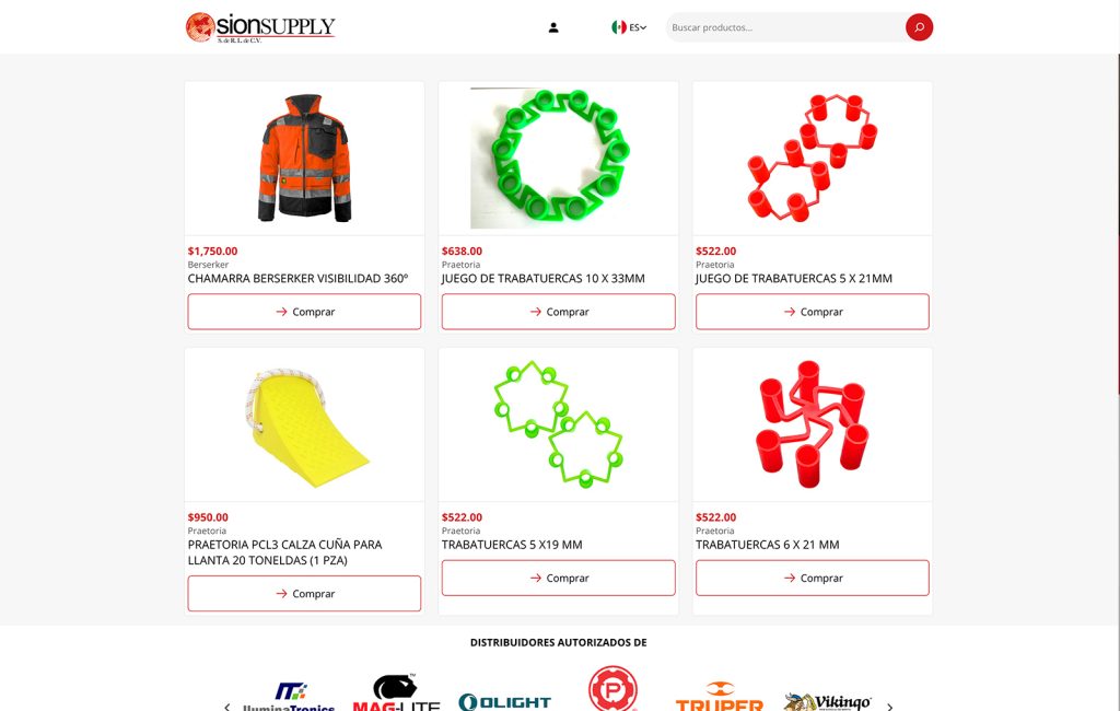 agencia DE website design monterrey