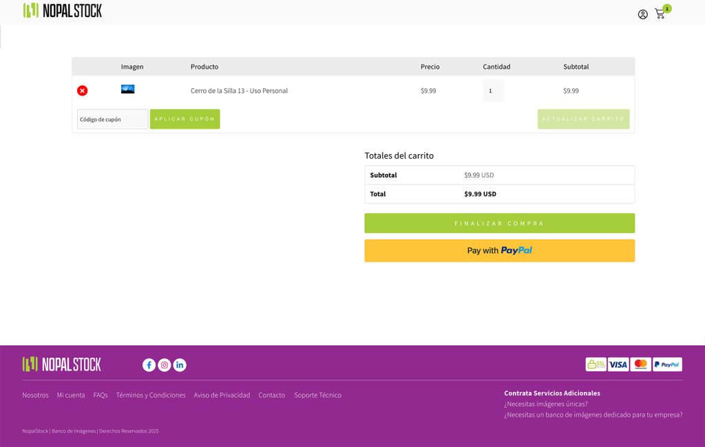 DISENO DE SITIOS WEB MONTERREY_