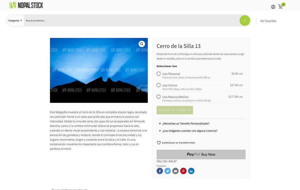 DISENO WEB ECOMMERCE MONTERREY