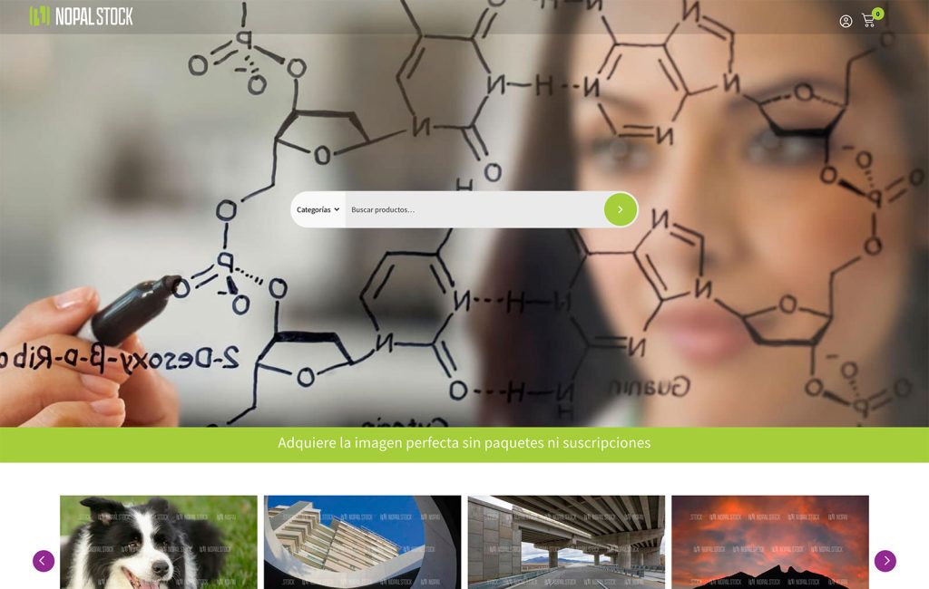 diseño de PAGINAS WEB MONTERREY