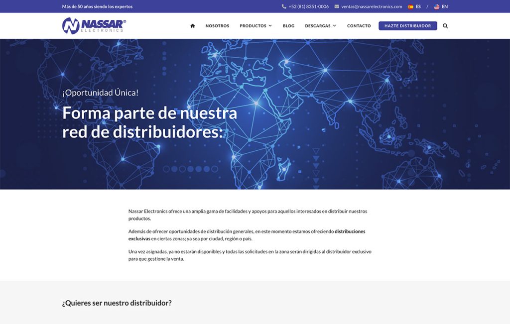 disenador Web en monterrey